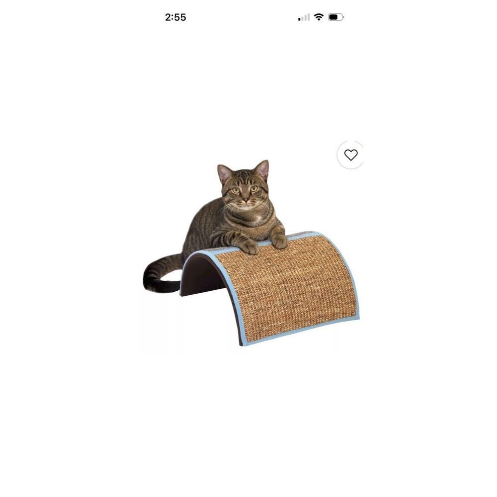 Cat Wave Scratcher Curved Cat Scratcher Lounge Ramp – Dual Texture, Teal Trim